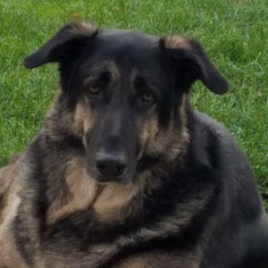 Meet your Posher, Tonya